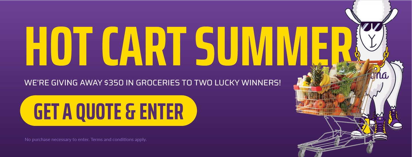 ALPA Grocery Giveaway Landing Page Headers Promotion banner with the headline ‘Hot Cart Summer.’ Text reads: ‘We’re giving away $350 in groceries to two lucky winners!’ A cartoon llama wearing sunglasses stands beside a grocery cart full of fruits and vegetables. Button says ‘Get a Quote &Enter to Win.’